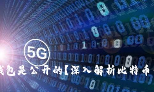 为什么比特币钱包是公开的？深入解析比特币钱包的工作原理