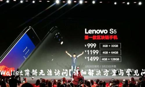 为何TPWallet薄饼无法访问？详细解决方案与常见问题解析