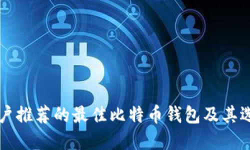 中国用户推荐的最佳比特币钱包及其选择指南