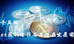 思考一个且的TPWallet盈利途径及其潜在发展前景介