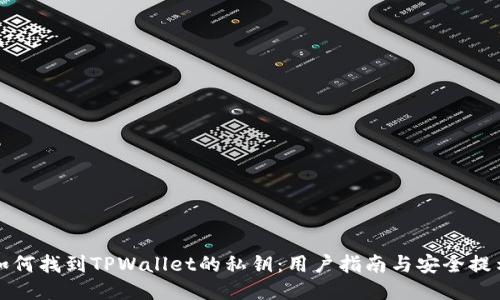如何找到TPWallet的私钥：用户指南与安全提示