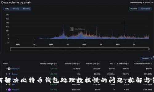 如何解决比特币钱包处理数据慢的问题：拆解与策略