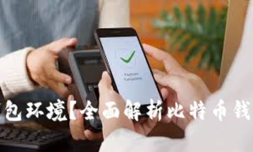 什么是比特币钱包环境？全面解析比特币钱包的类型与选择