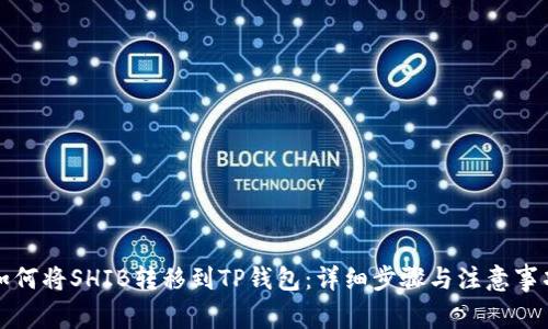 如何将SHIB转移到TP钱包：详细步骤与注意事项