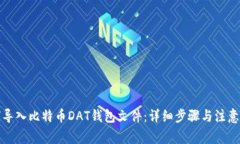 如何导入比特币DAT钱包文件：详细步骤与注意事
