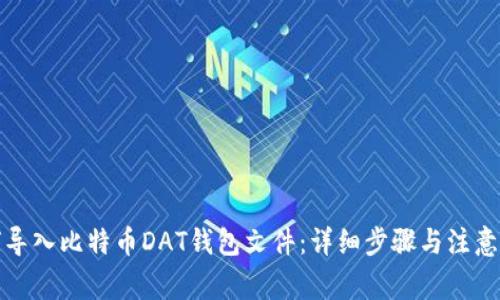 如何导入比特币DAT钱包文件：详细步骤与注意事项