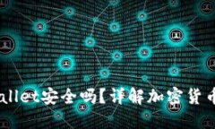 优质USDT存入TPWallet安全吗？详解加密货币钱包的