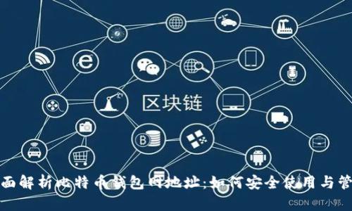 全面解析比特币钱包网地址：如何安全使用与管理