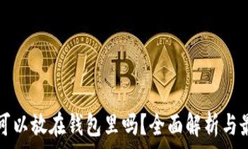   
狗狗币可以放在钱包里吗？全面解析与最佳实践