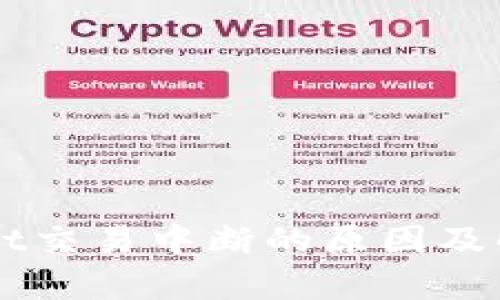 优质TPWallet交易中断的原因及解决方案解析