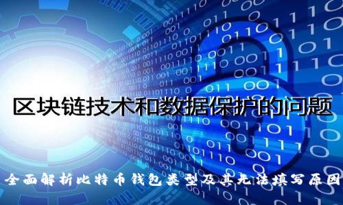 全面解析比特币钱包类型及其无法填写原因