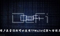 大陆用户是否仍然可以使用TPWallet？深入分析与指