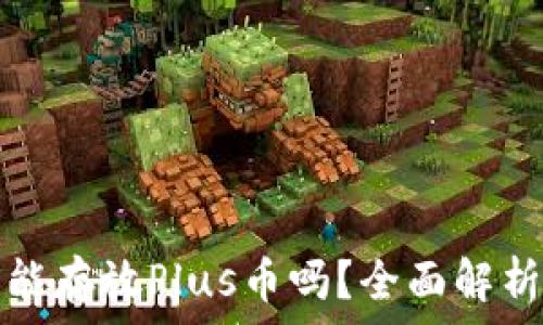   
以太坊钱包能存放Plus币吗？全面解析与操作指南