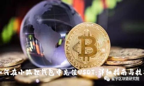 如何在小狐狸钱包中充值USDT：详细指南与技巧