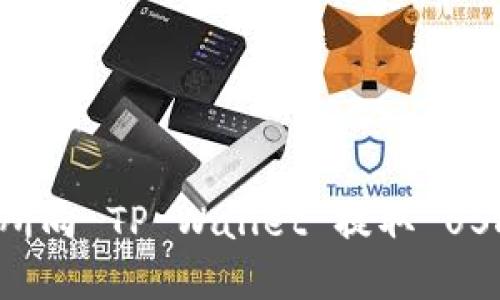 如何在交易所向 TP Wallet 提取 USDT：完整指南