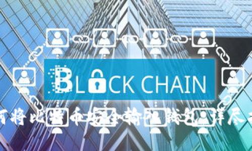 如何将比特币安全输入钱包：详尽指南